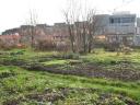 Allotments in town