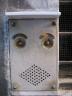 lots of the doorbells look like faces, clearly on purpose
